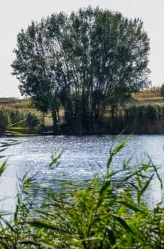 Still river Stock Photos