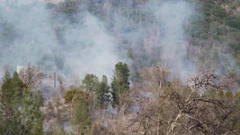Still shot, Fire Smoke Rises as Woods Burn in California Mountain Wildfire Stock Footage 199254705