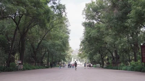 Still shot large road chapultepec forest in mexico city Vídeos de archivo 343906807