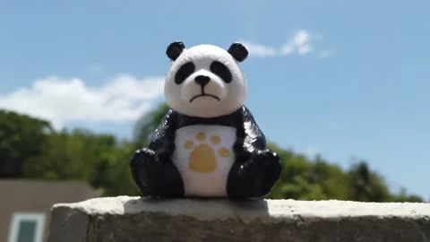 Still shot of mini panda bear Vidéo 134107333