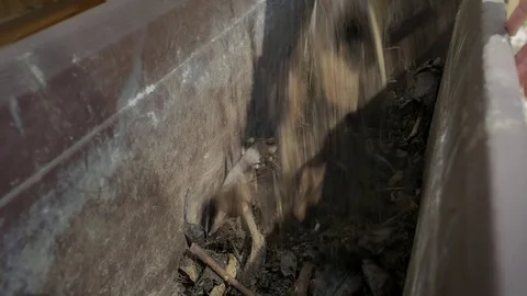 Still shot of moving soil with paddle Stock Footage 76814197
