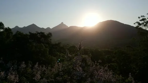 Still shot of Mt Warning through the tree tops 스톡 동영상 254038356