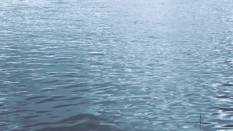 Still shot of ripples running over water surface Stock Footage 120401519