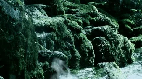Still shot of a river rapids in woods with morning mist and morning dawn color Stock Footage 27768019