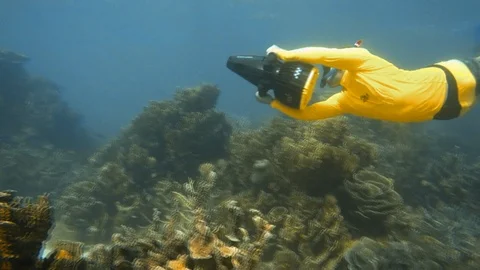 Still shot of scuba divers Stock Footage 88464096