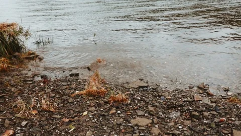 Still shot of water waves hitting a river shore in autumn Stock Footage 120021729