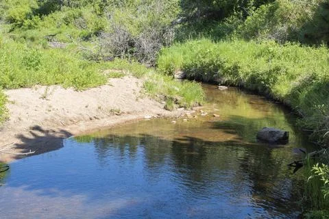 Still stream in the forest 写真素材