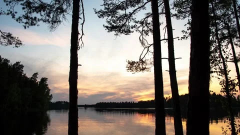 Still summer evening by a forest lake timelapse Stock Footage 327058730