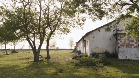 Still in sunset in bird paradise plain with small house and trees Stock Footage 113673480