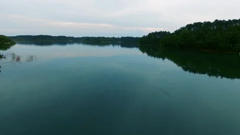 Still teal lake bordered by dark forest, seen from the air Видео 348624823