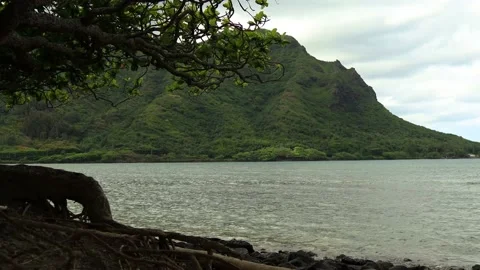 Still video of beach, tree, and mountain on a cloudy day, Hawaii, 4k Stock Footage 179642041