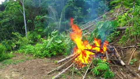 Still video of a large camp fire, with beautiful red and orange colored flames Stock Footage 143035797