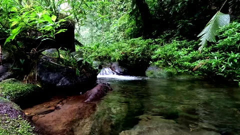 Still video of a small cascade in a tropical stream 库存影片 336916678