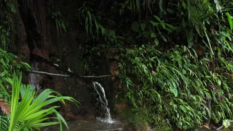 Still video of a small cascade in which half of a bamboo has been put to lead Stock Footage 142758772