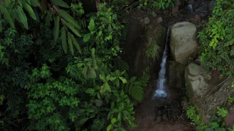 Still video of a small waterfall in the mids of the amazonian tropical Video stock 142757490
