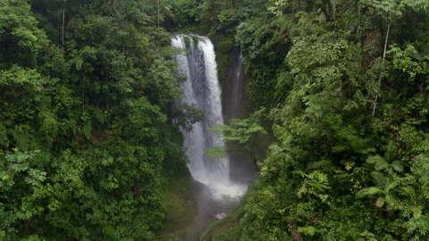 Still video of a stunning waterfall inside a tropical forest of South America Stock Footage 169927752