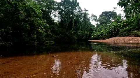 Still video of two rivers in a tropical forest that are mixing, tropical nature Stock Footage 336919267