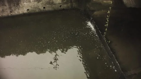 Still view of calm quiet large wide ditch trench with muddy dirty water flowing  Video stock 236238593