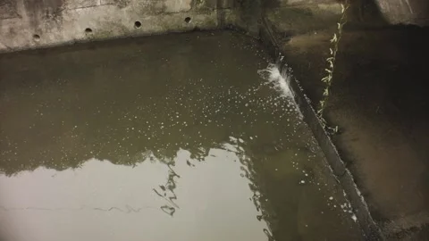 Still view of calm quiet large wide ditch trench with muddy dirty water flowing  Stock Footage 236239908