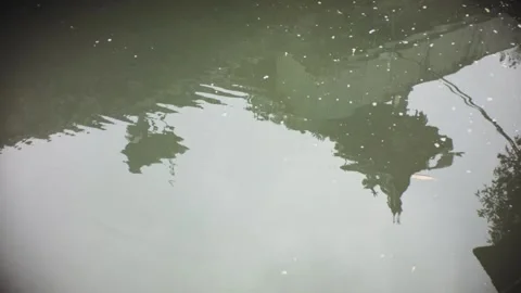 Still view of calm quiet large wide ditch trench with muddy dirty water and refe Stock Footage 236292623