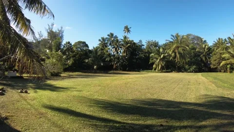 Still view of a decent size piece of perfected mowed weeded looking grass land l Stock Footage 237620609