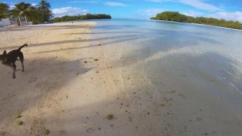 Still view of Muri beach side look out to calm relax turquoise ocean lagoon atol Video stock 253461170