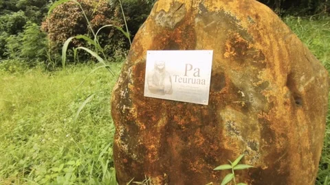 Still view of Outstanding Contribution to Cook Islands Tourism Award to Pa Teuru Stock Footage 245442006