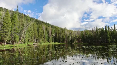 Still water mirrors the forest in a serene mountain setting. Stock Footage 345546465
