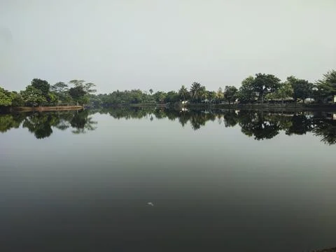 Still water mirrors trees lining calm riverbank Stock Photos