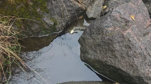 Still water pool between large rocks in Sweden Stock Footage 347206794