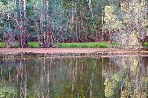 Still Water River Reflections Stock Photos