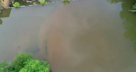 Still water before the waterfall Video stock 148938960