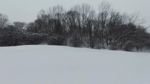 Still Winter Landscape With Snow Falling In Park Stock Footage 323423549