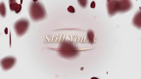 Still yours with floating petals in a romantic setting Stock Footage 344429691