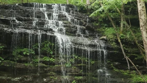 Stillhouse Hollow Falls Surrounded by Forest Vegetation Stock Footage 336561515