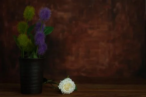 Stilllife Stock Photos