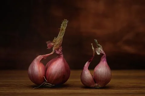 Stilllife Stock Photos