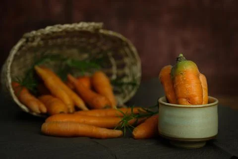 Stilllife Stock Photos