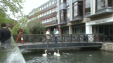 Stilt walker 스톡 동영상 373522