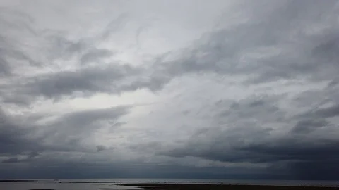 Stilts Stock Footage 101688761