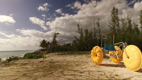 Sting Ray Beach Freeport Bahamas Stock Footage 99521389