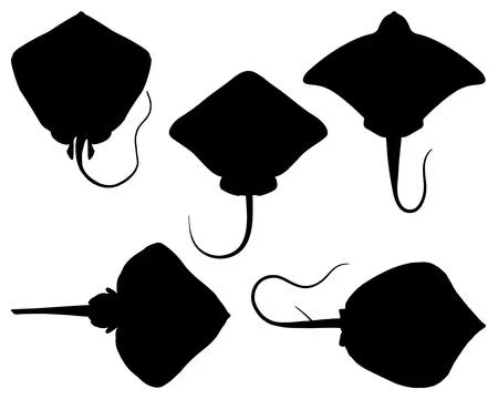 STING RAY SILHOUETTE VECTOR ART Illustrazione stock