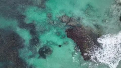 Sting ray swims in clear turquoise sea aerial drone footage 4K Video stock 265981982