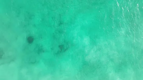 Sting ray swims in clear turquoise sea aerial drone footage 4K Video stock 265984006