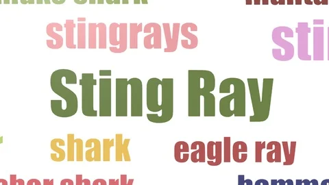Sting Ray Word Cloud Animated Isolated On White Stock Footage 103663678