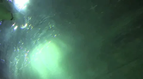 Sting rays double 50 Stock Footage 12428772