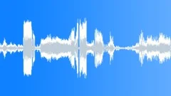 Stinger freque Sound Effect