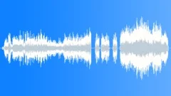 Stinger frequeSound Effect