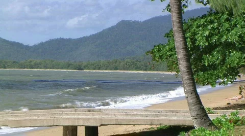 Stinger nets 스톡 동영상 349505