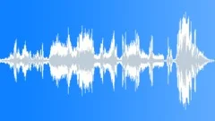 Stinger radioSound Effect